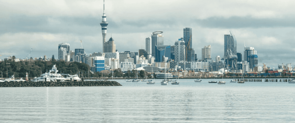 opening a business in new zealand