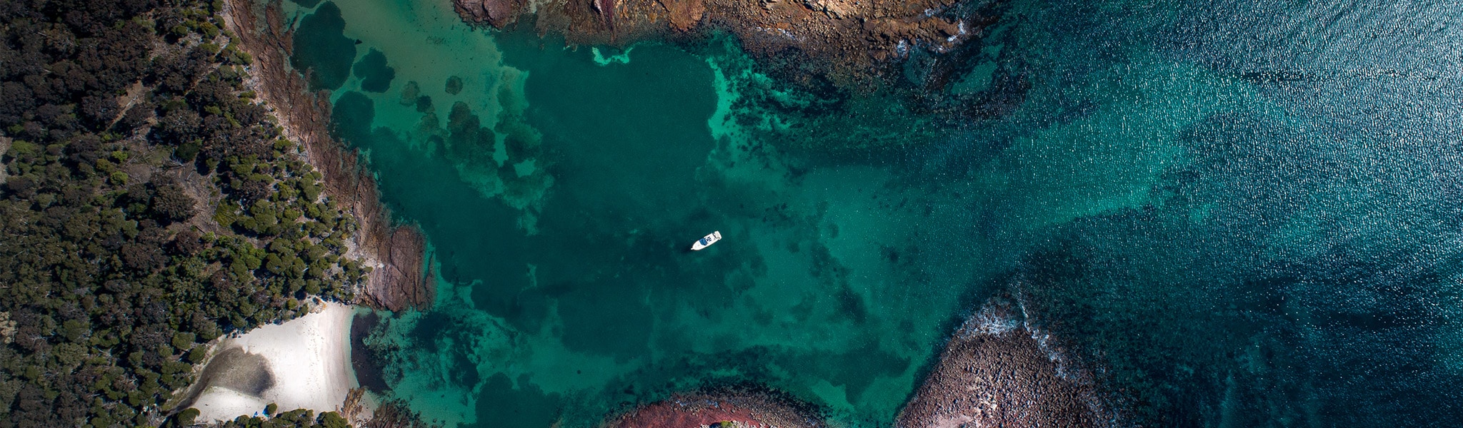 Wealth Advisory Service Banner