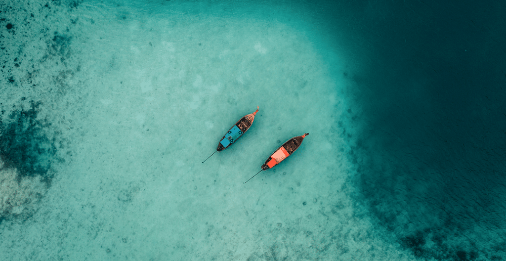 Investor intelligence – November 2025