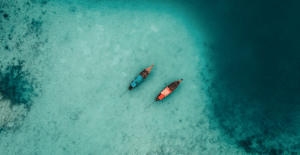 Investor intelligence - October 2025